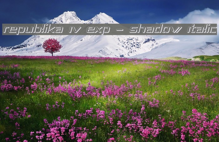 Republika IV Exp - Shadow Italic Font examples