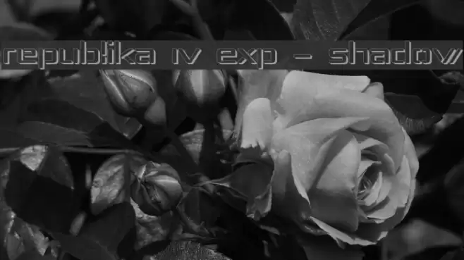 Republika IV Exp - Shadow Font examples