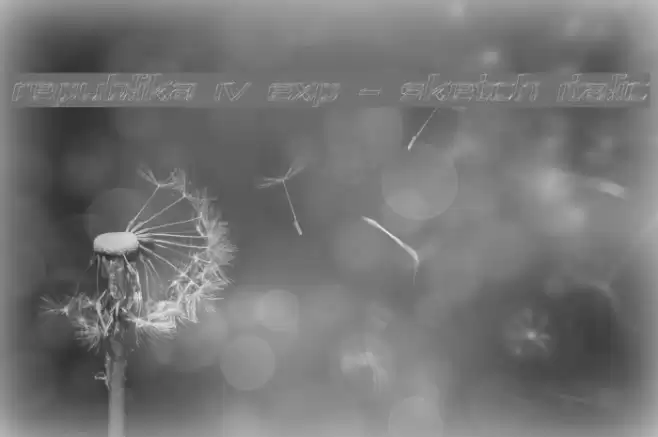 Republika IV Exp - Sketch Italic Font examples