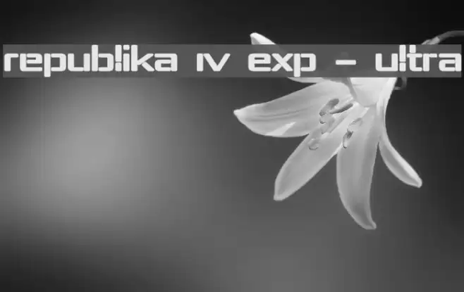 Republika IV Exp - Ultra خط examples