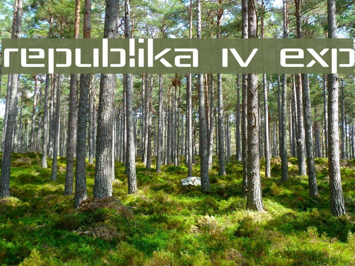 Republika IV Exp Schriftart examples