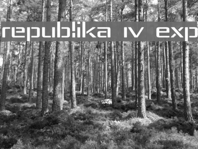 Republika IV Exp フォント examples