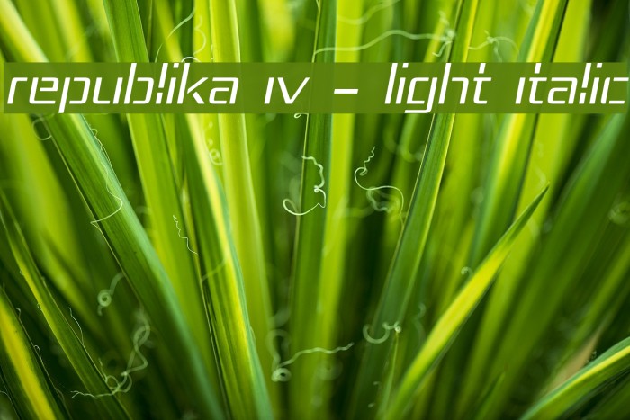 Republika IV - Light Italic Font examples
