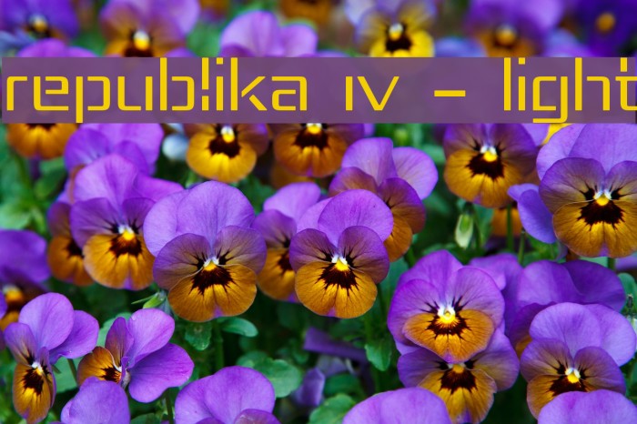 Republika IV - Light Font examples