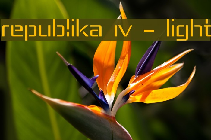 Republika IV - Light Font examples