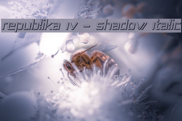 Republika IV - Shadow Italic Example 1