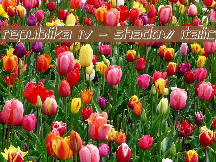Republika IV - Shadow Italic Example 2