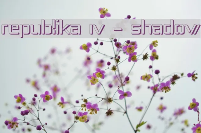 Republika IV - Shadow Example 1