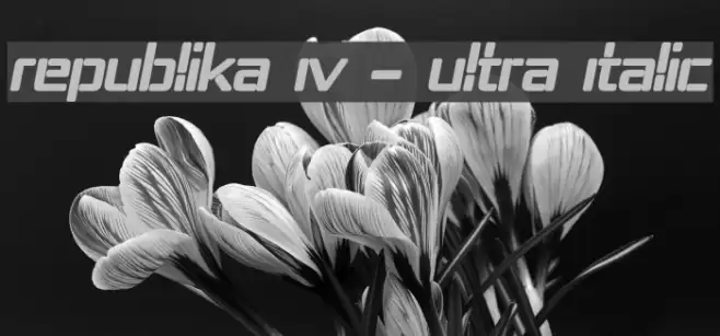 Republika IV - Ultra Italic Font examples
