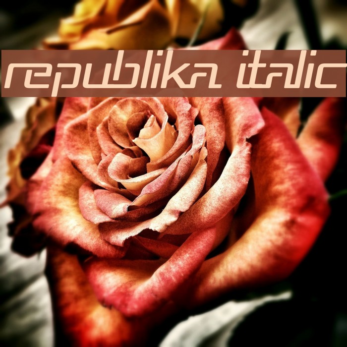 Republika Italic Font examples