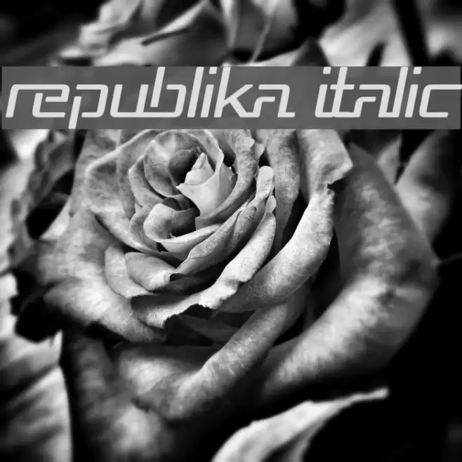 Republika Italic Schriftart examples