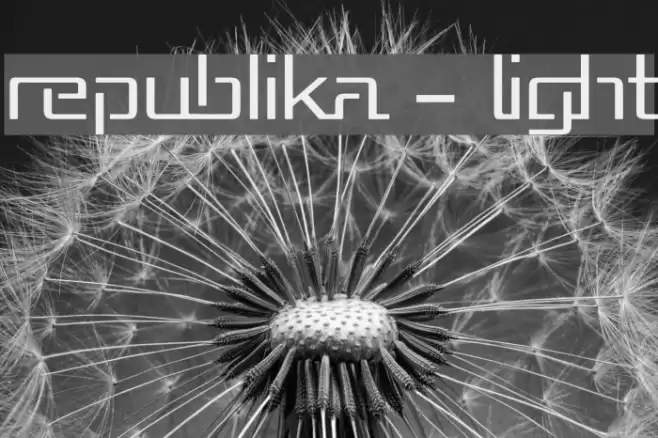 Republika - Light Font examples