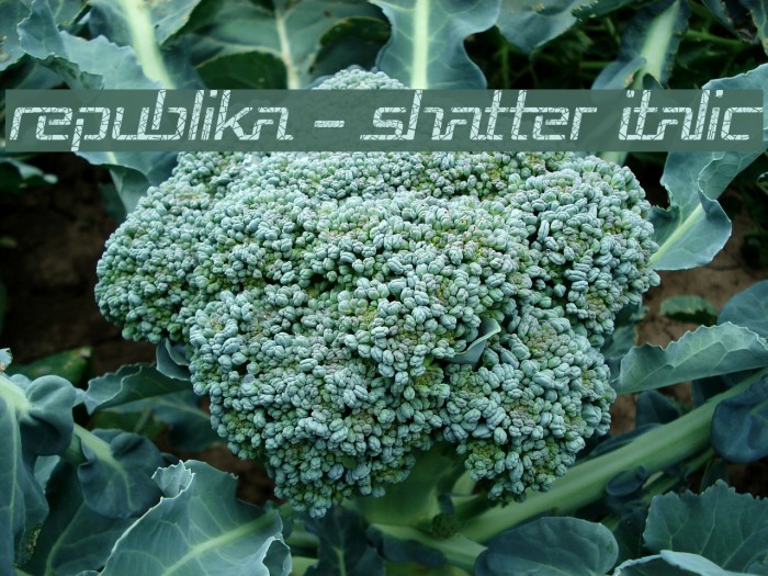Republika - Shatter Italic Example 2