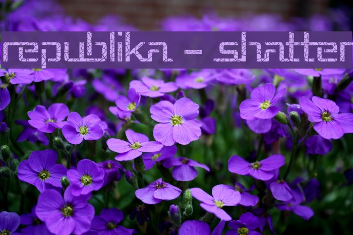 Republika - Shatter Fuentes examples