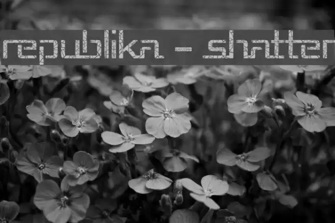 Republika - Shatter Font examples
