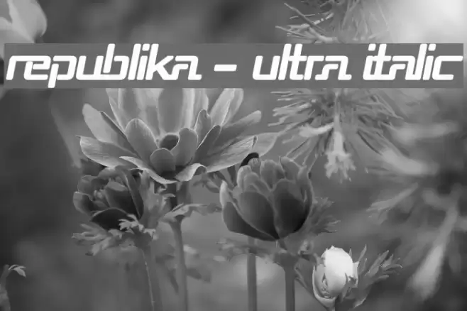 Republika - Ultra Italic Fuentes examples