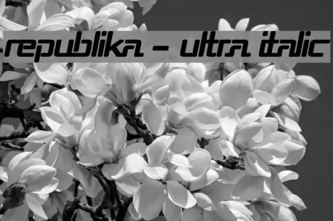 Republika - Ultra Italic Fuentes examples