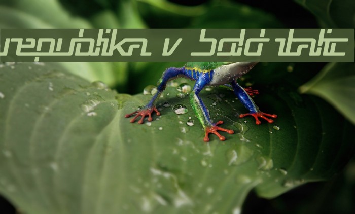 Republika V Bold Italic Example 2