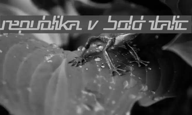 Republika V Bold Italic Font examples