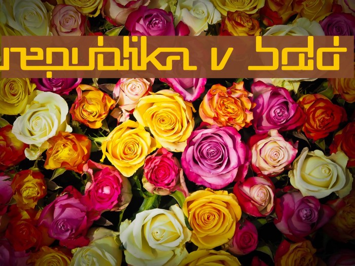 Republika V Bold Font examples