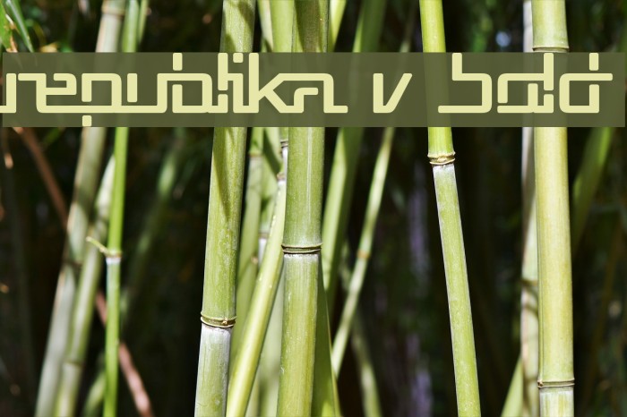 Republika V Bold Font examples