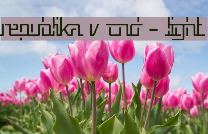 Republika V Cnd - Light Font examples
