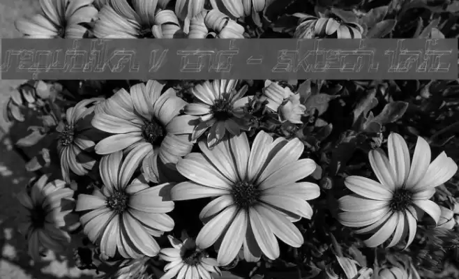 Republika V Cnd - Sktech Italic Font examples