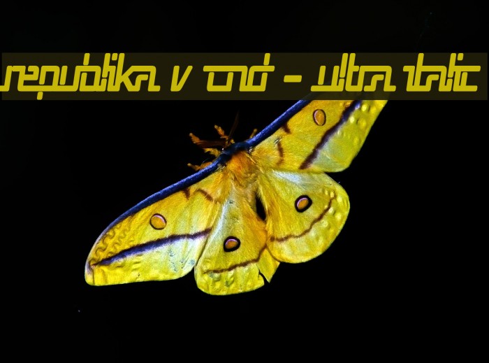 Republika V Cnd - Ultra Italic Font examples