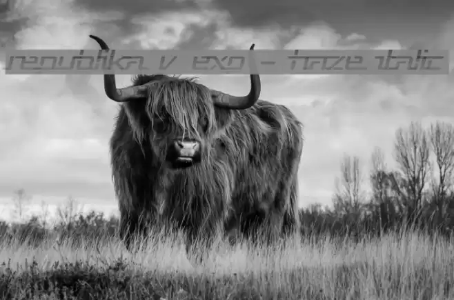 Republika V Exp - Haze Italic Font examples