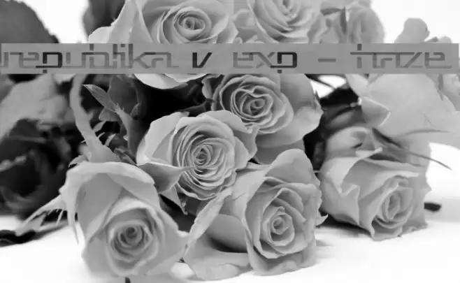 Republika V Exp - Haze Font examples