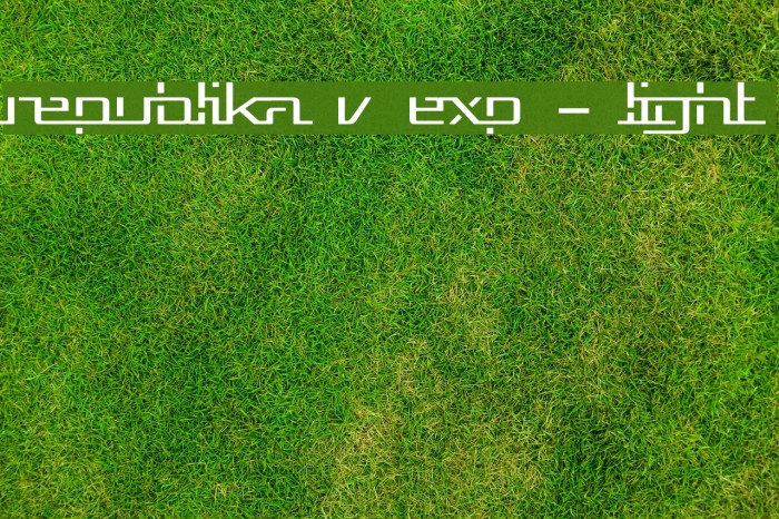 Republika V Exp - Light Font examples