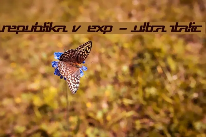 Republika V Exp - Ultra Italic Example 3