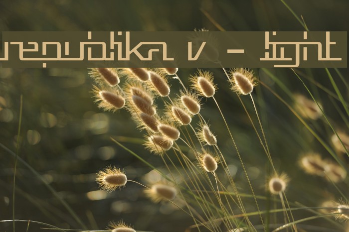 Republika V - Light Font examples