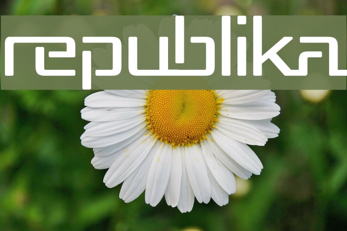 Republika Font examples