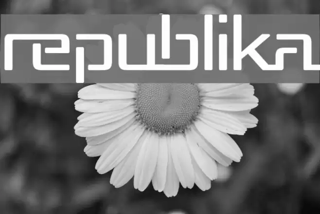 Republika Caratteri examples