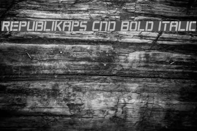 Republikaps Cnd Bold Italic Font examples