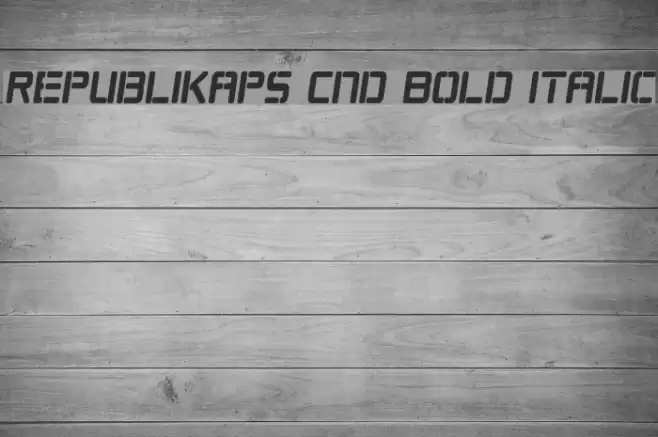 Republikaps Cnd Bold Italic Font examples