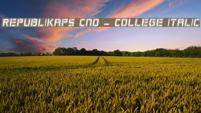 Republikaps Cnd - College Italic Font examples