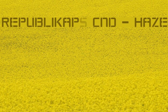 Republikaps Cnd - Haze Font examples