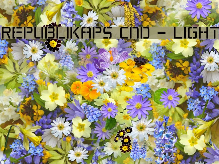 Republikaps Cnd - Light Font examples