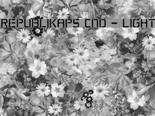 Republikaps Cnd - Light Font examples