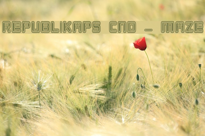 Republikaps Cnd - Maze Example 1