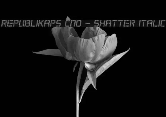 Republikaps Cnd - Shatter Italic Font examples