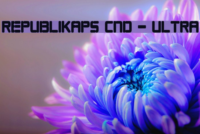 Republikaps Cnd - Ultra Шрифта examples