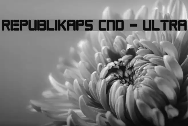 Republikaps Cnd - Ultra Шрифта examples