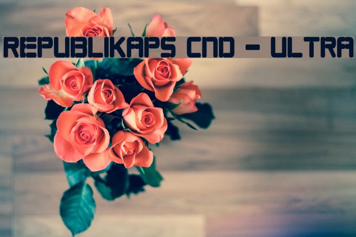 Republikaps Cnd - Ultra Шрифта examples