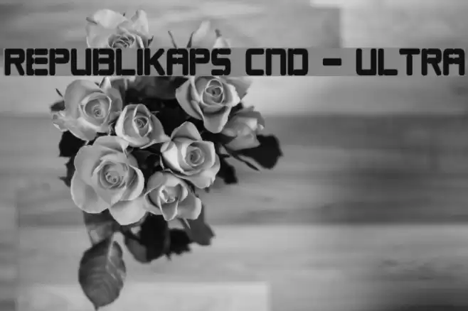 Republikaps Cnd - Ultra Шрифта examples