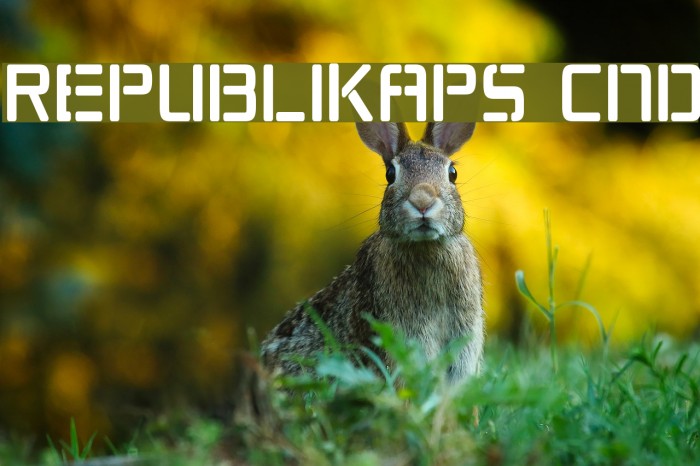 Republikaps Cnd Font examples