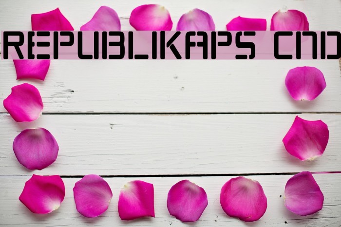 Republikaps Cnd Font examples