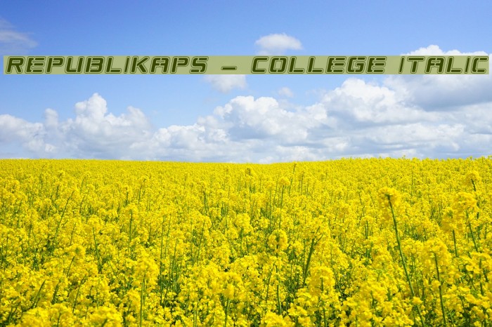 Republikaps - College Italic Font examples